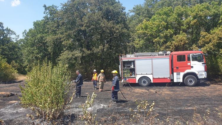 Снимки: РосенТодоров