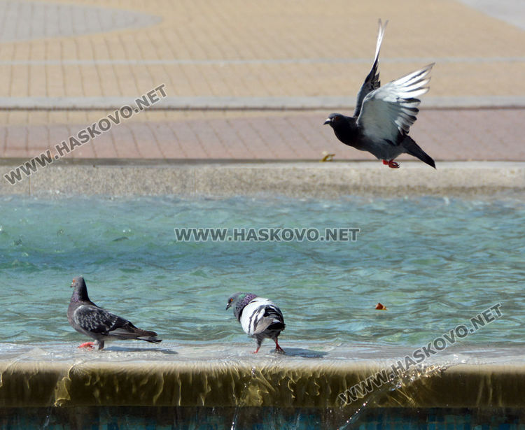 38.5 градуса достигна максималната температура в Хасково
