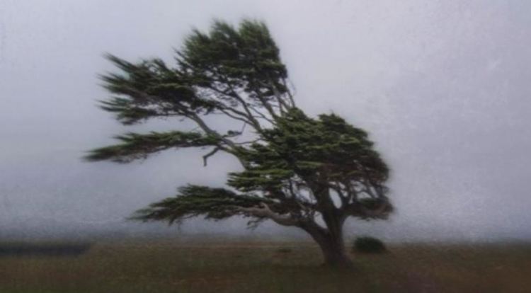 Предупреждение: код червено за ураганни ветрове и пожари в хасковско