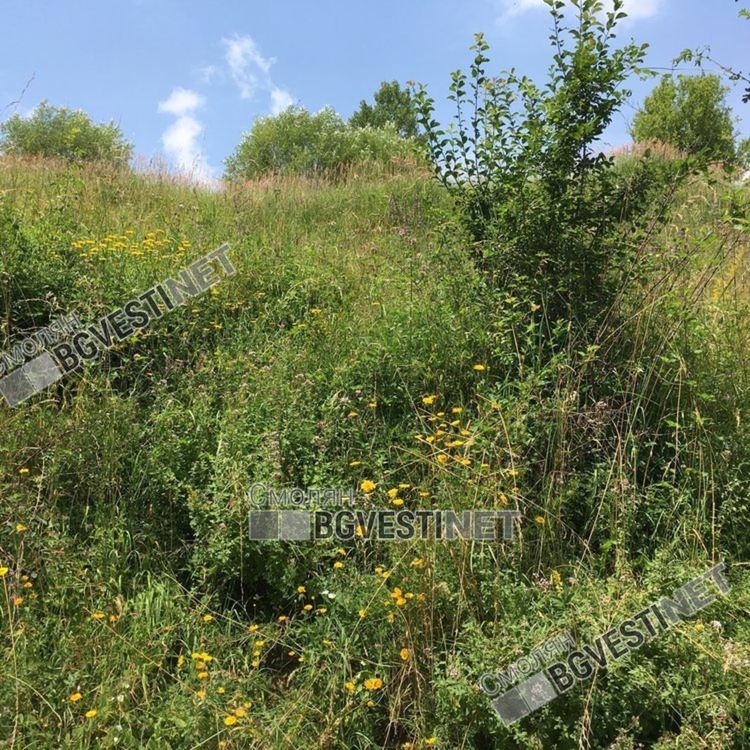 Слънчево и ясно до 24 градуса, с вятър, но без дъжд