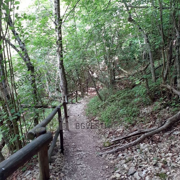 Уникалната екопътека към крепостта "Калето" над Кошница, любима за туристи, но се руши