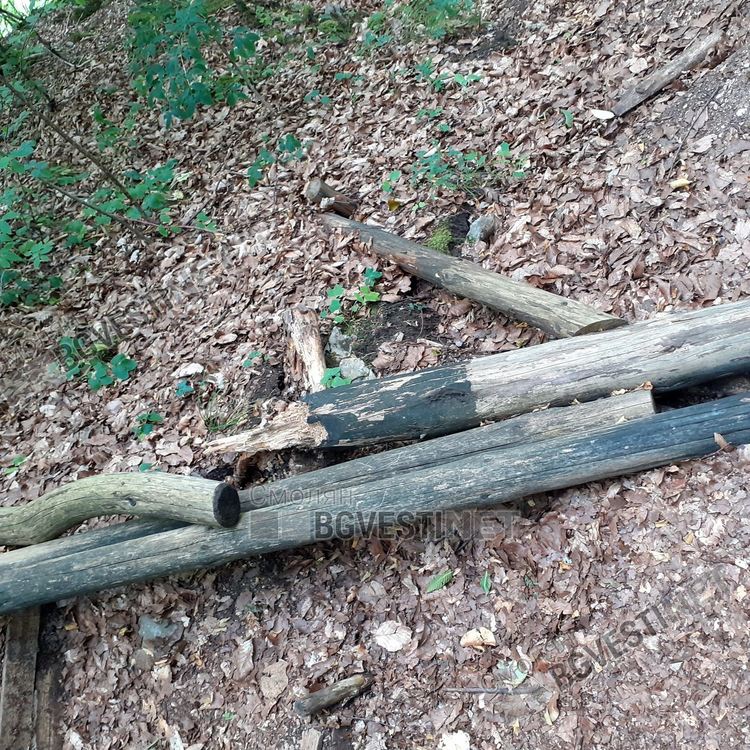 Уникалната екопътека към крепостта "Калето" над Кошница, любима за туристи, но се руши