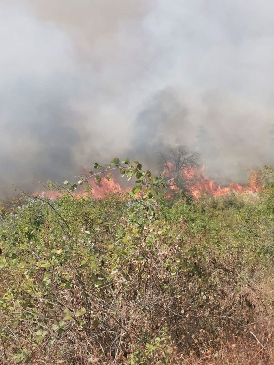  Затвориха АМ”Марица” между Харманли и Любимец. Тръгна нов пожар до Изворово