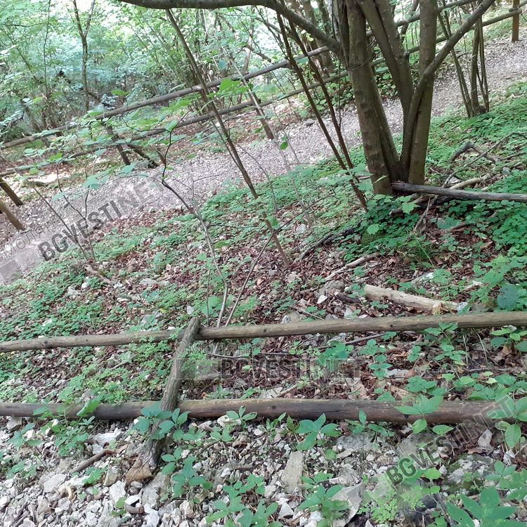 Уникалната екопътека към крепостта "Калето" над Кошница, любима за туристи, но се руши