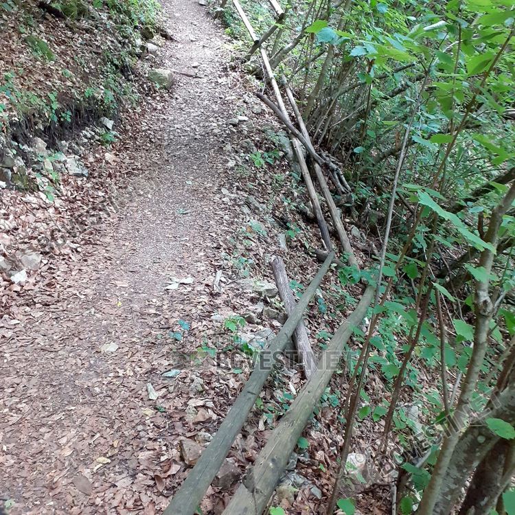 Уникалната екопътека към крепостта "Калето" над Кошница, любима за туристи, но се руши