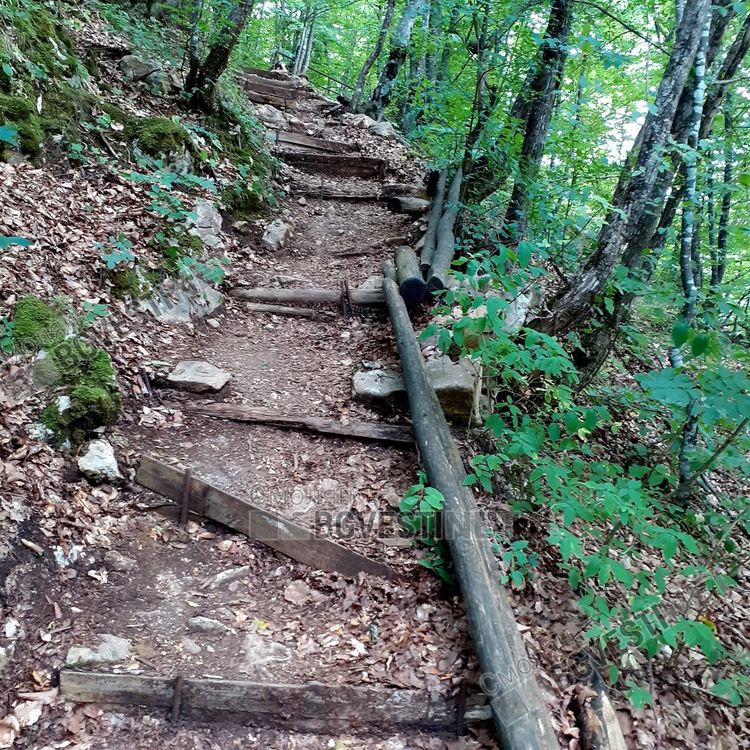 Уникалната екопътека към крепостта "Калето" над Кошница, любима за туристи, но се руши