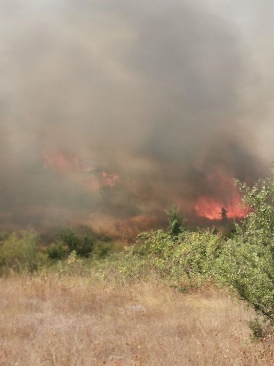  Затвориха АМ”Марица” между Харманли и Любимец. Тръгна нов пожар до Изворово