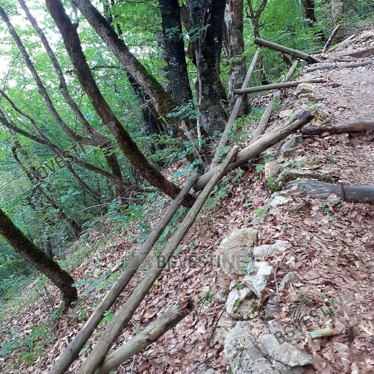 Уникалната екопътека към крепостта "Калето" над Кошница, любима за туристи, но се руши