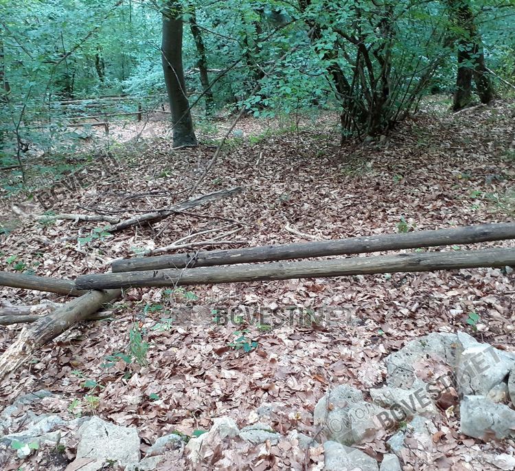 Уникалната екопътека към крепостта "Калето" над Кошница, любима за туристи, но се руши