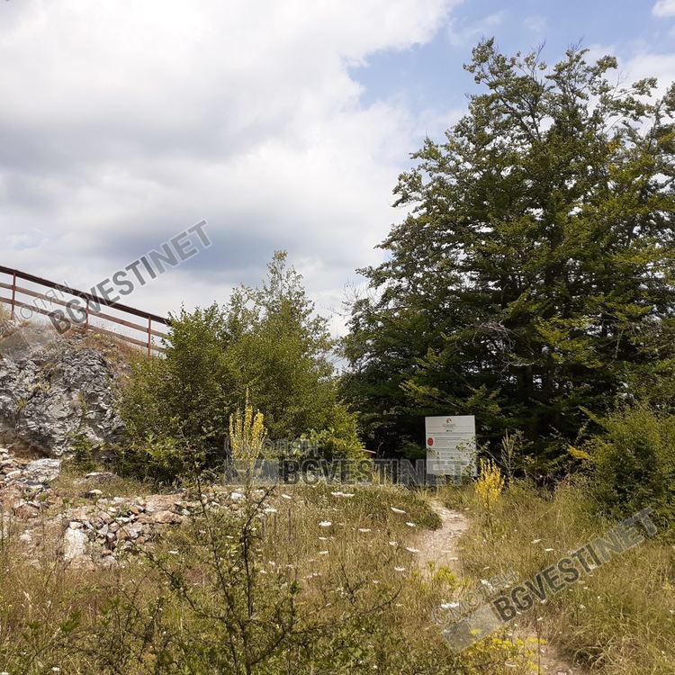 Северната крепостна стена е със запазена дължина - 44,5м. Тя е най-добре съхранена и на места височината й е 3м. Западната крепостна стена е дълга 38м. В южния й край е изградена външна бойна /наблюдателна/ кула. Сега там е монтирана шестметрова дървена наблюдателна кула  на два етажа.