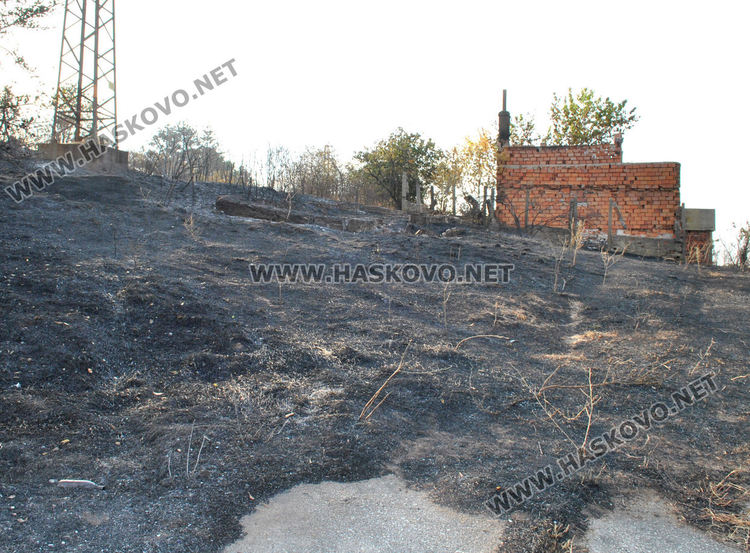 Главен комисар Николов: Причините за пожарите в Хасковско са свързани с човешка дейност