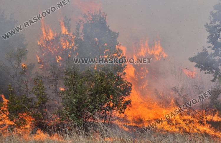 Евакуираха хората от Присадец заради пожар