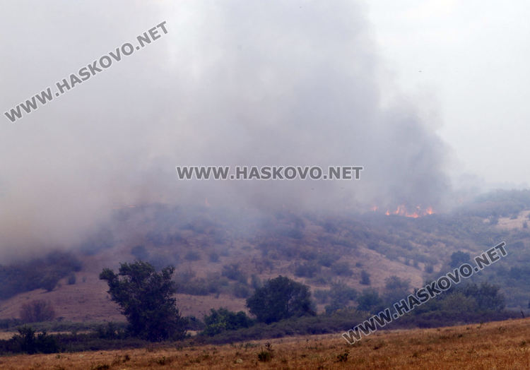 Пожарът край Присадец продължава да гори, обхвана над 50 000 дка