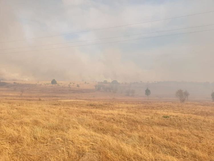 Спасиха от огъня село Присадец, но пожарът продължава да вилнее