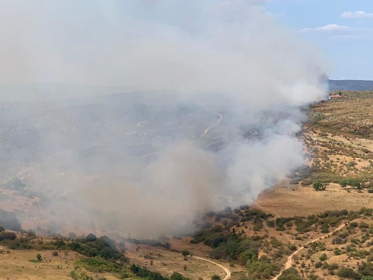 Пожарът край Присадец продължава да гори, обхвана над 50 000 дка