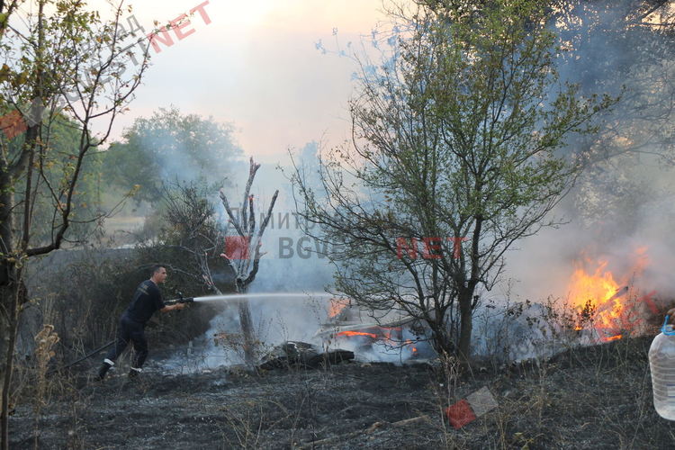 снимката е илюстративна