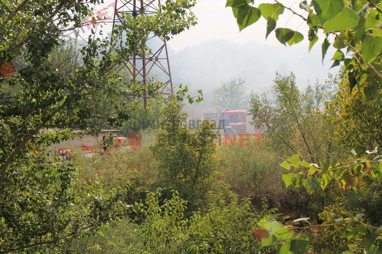 Пожар избухна в Димитровград, на метри от постройки и жилищен квартал