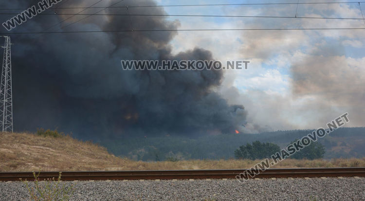 Нов пожар в Хасковска област, обхвана 500 дка сухи треви и гора