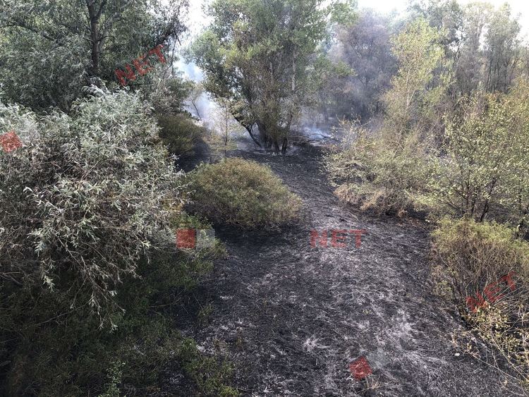 Пожар избухна в Димитровград, на метри от постройки и жилищен квартал