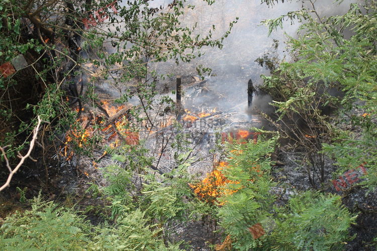 Пожар избухна в Димитровград, на метри от постройки и жилищен квартал