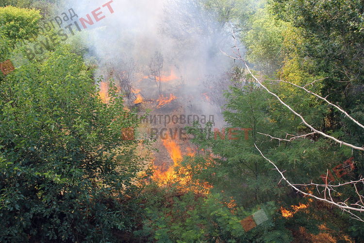 Пожар избухна в Димитровград, на метри от постройки и жилищен квартал