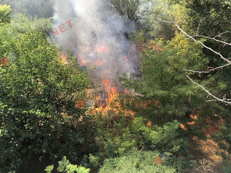 Пожар избухна в Димитровград, на метри от постройки и жилищен квартал