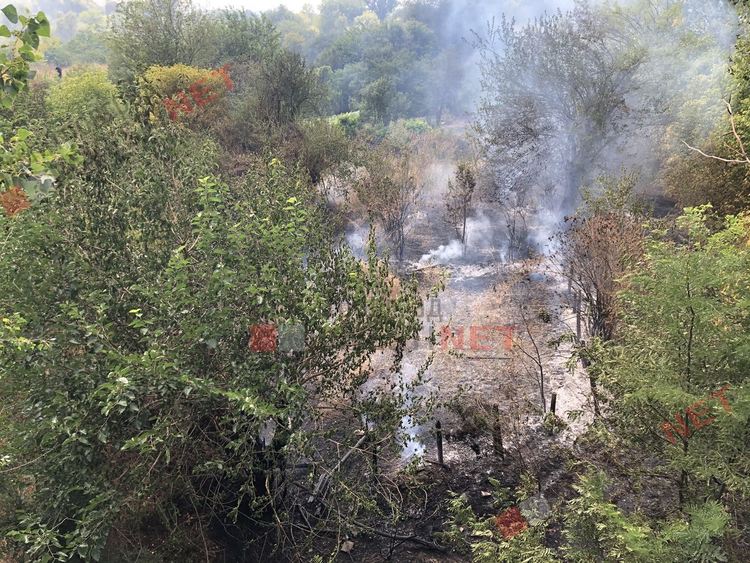 Пожар избухна в Димитровград, на метри от постройки и жилищен квартал