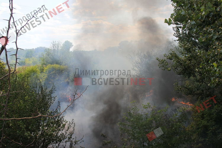 Пожар избухна в Димитровград, на метри от постройки и жилищен квартал