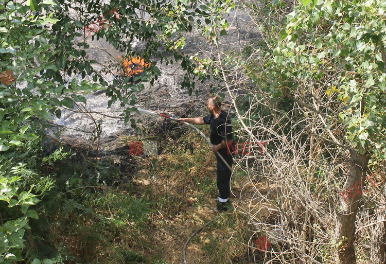 Пожар избухна в Димитровград, на метри от постройки и жилищен квартал