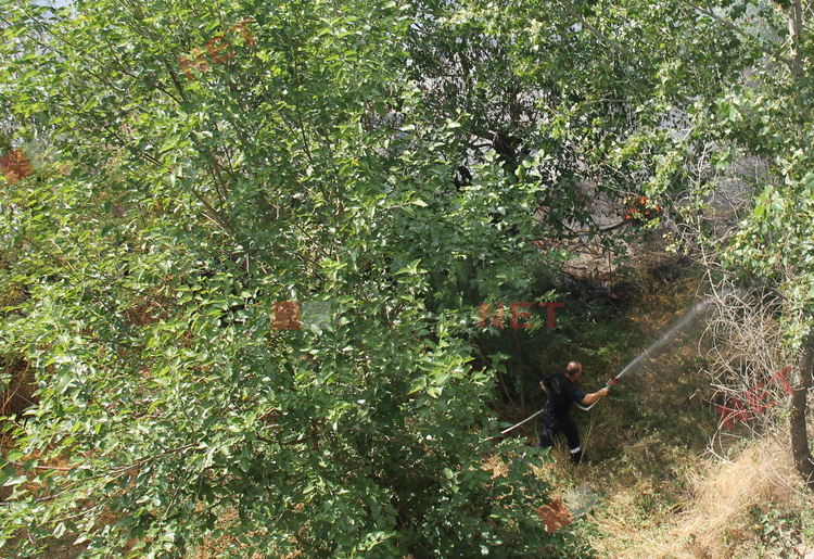 Пожар избухна в Димитровград, на метри от постройки и жилищен квартал