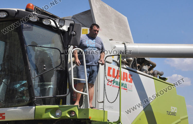 Зажънаха слънчогледа в Хасковско, очакват по-слаба реколта