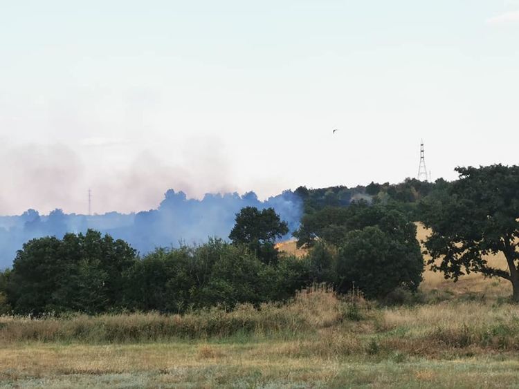 Пожар край с Нова надежда, вероятно от незагасен фас
