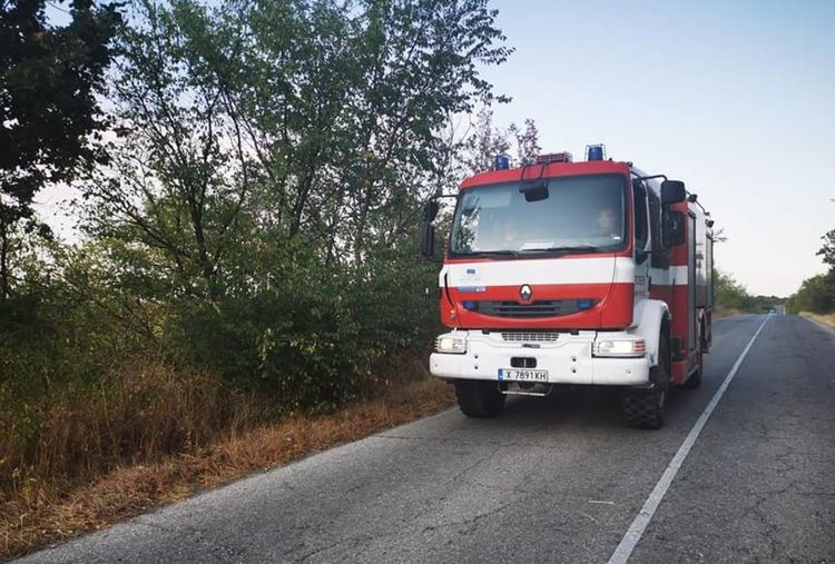 Пожар край с Нова надежда, вероятно от незагасен фас