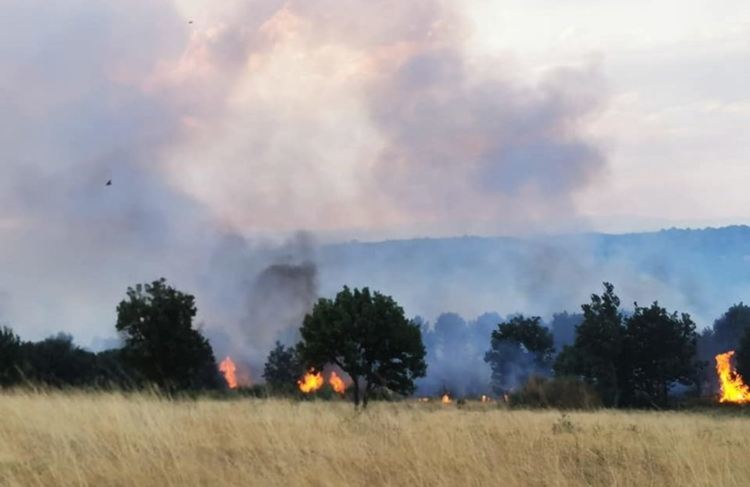 Пожар бушува между с.Воден и с.Нова Надежда