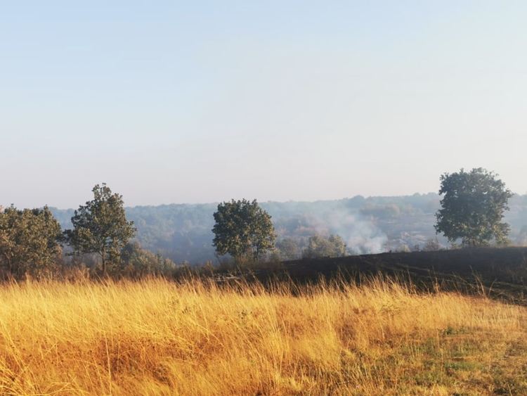 Пожарът между селата Нова надежда и Воден е локализиран