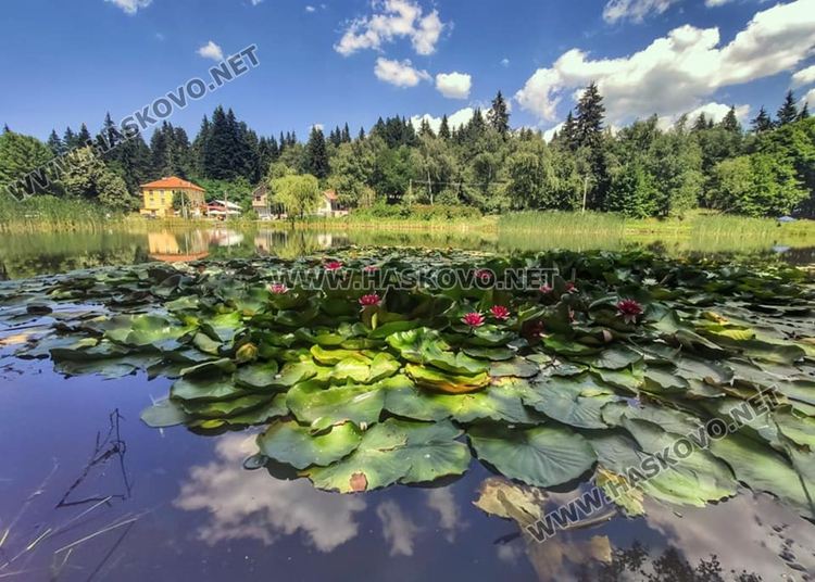 сн: Нина Серафимова