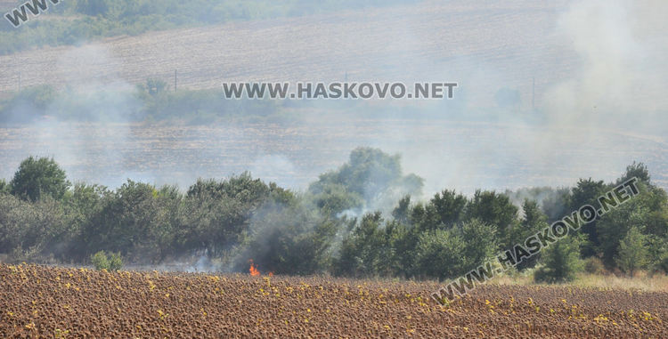 Пламна край Бряст