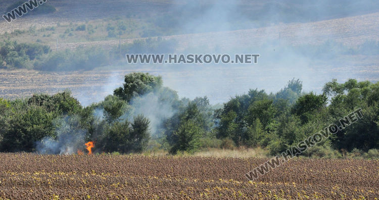 Пламна край Бряст