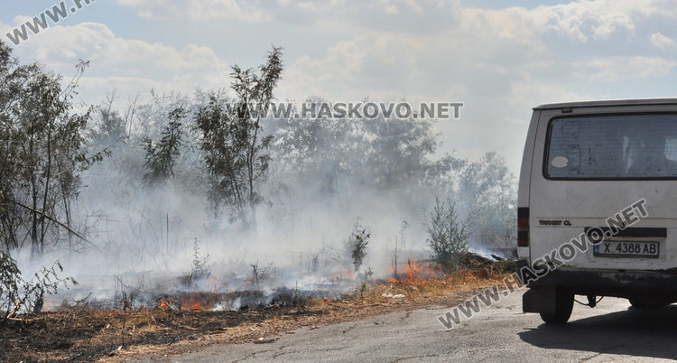 Пламна край Бряст