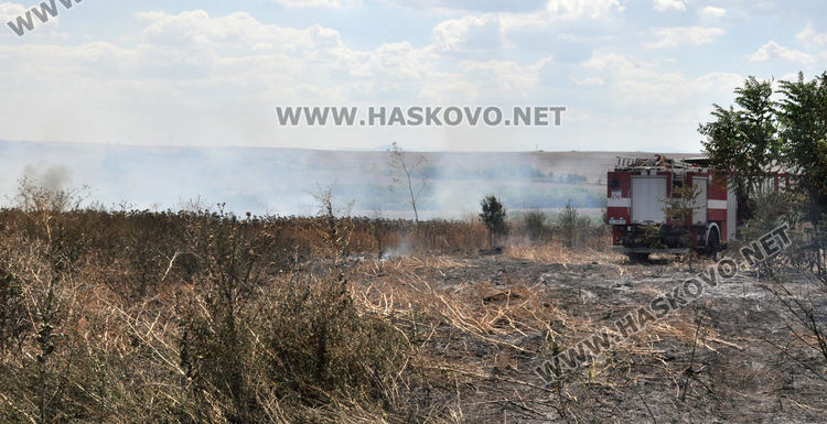 Пламна край Бряст