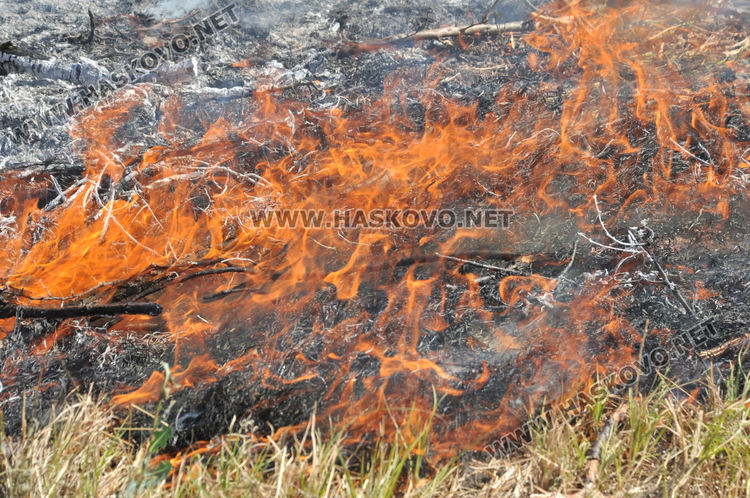 Пламна край Бряст