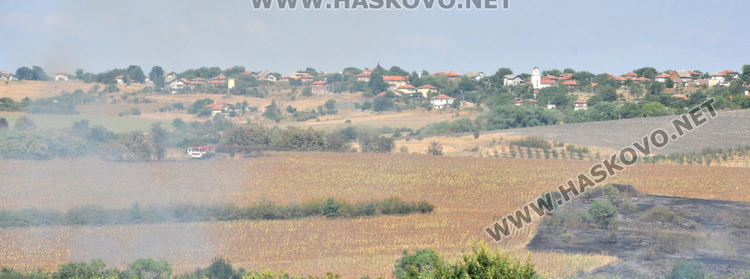 Пламна край Бряст