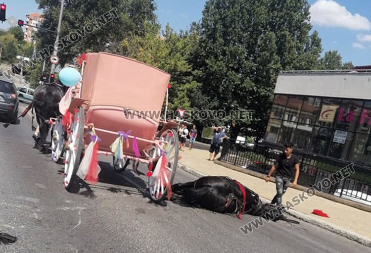 Кон с файтон пострада при инцидент на Кърджалийска