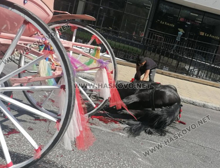 Кон с файтон пострада при инцидент на Кърджалийска