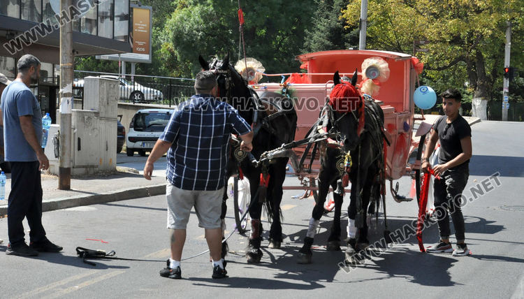 Кон с файтон пострада при инцидент на Кърджалийска