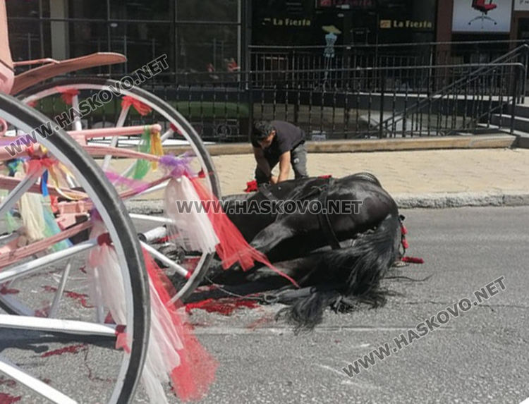 Кон с файтон пострада при инцидент на Кърджалийска