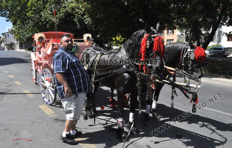 Кон с файтон пострада при инцидент на Кърджалийска