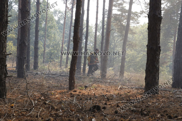 Пожар обхвана над 500 дка гора, пращат хеликоптер