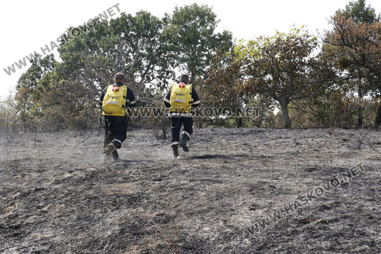 Пожар обхвана над 500 дка гора, пращат хеликоптер