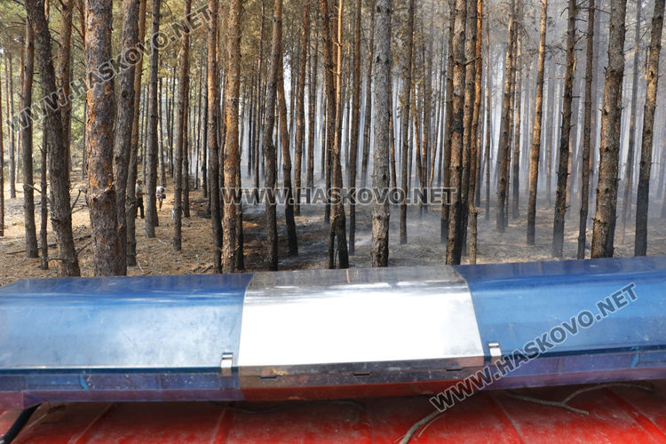 Пожар обхвана над 500 дка гора, пращат хеликоптер